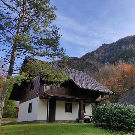 Apartmaji Zupancic Bohinj Esterno foto