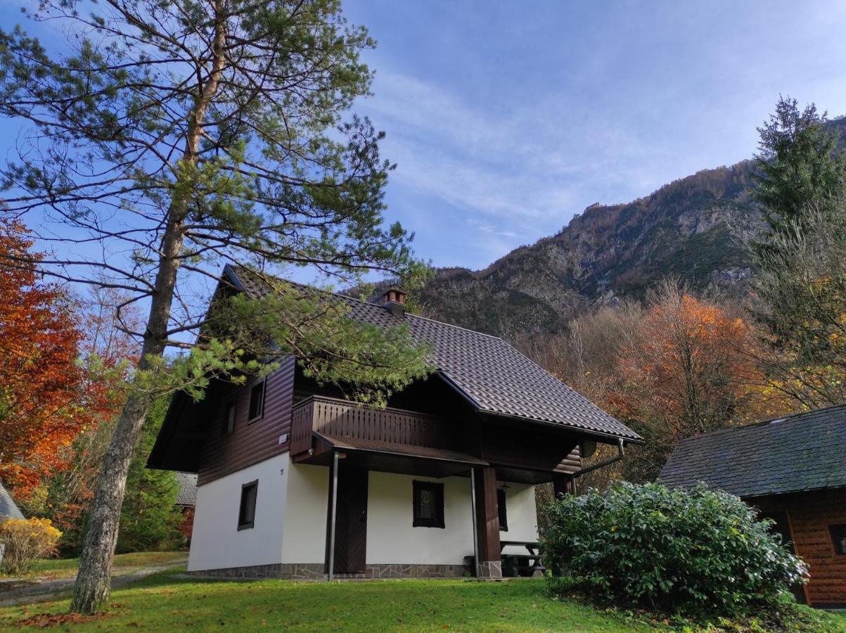 Apartmaji Zupancic Bohinj Esterno foto