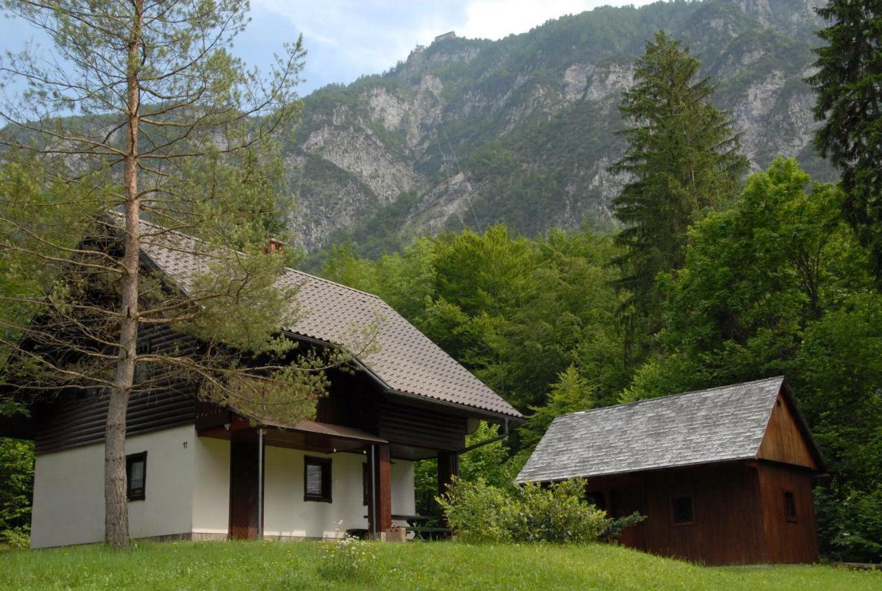 Apartmaji Zupancic Bohinj Esterno foto
