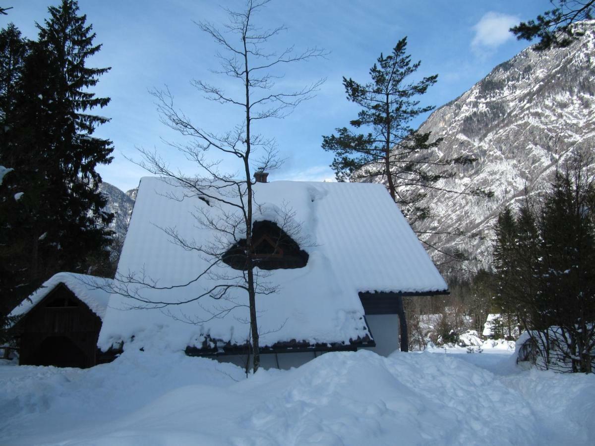 Apartmaji Zupancic Bohinj Esterno foto